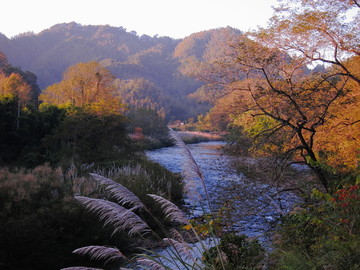 山区秋色