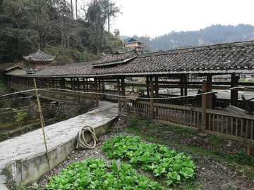 菜园边的三江侗族风雨桥