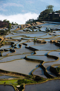 梯田