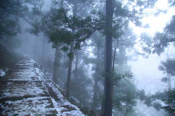 云雾庐山