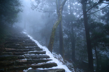 云雾庐山