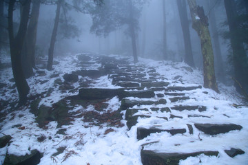 云雾庐山