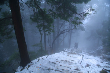 云雾庐山