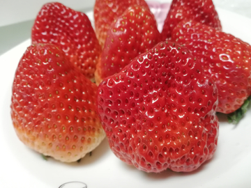 大草莓