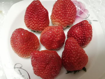 丹东大草莓