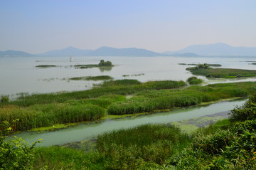 太湖湿地