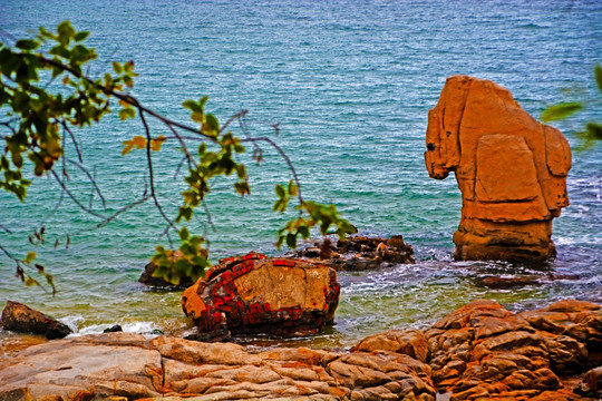 大梅沙海滨风景