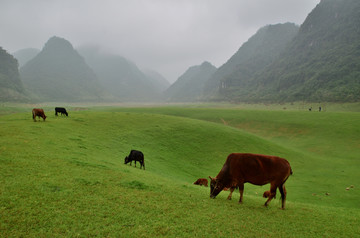 更多点这里→自然风景