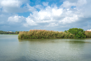 万泉河