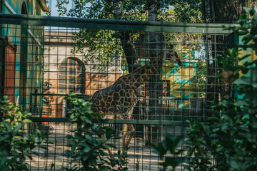 北京動物園