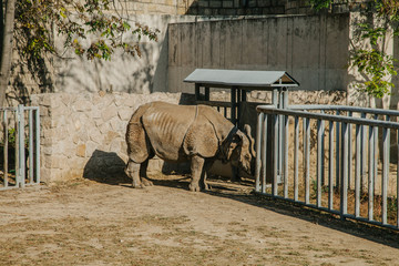 北京動物園