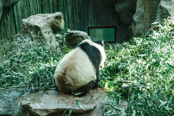 北京動物園