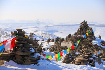 鳥巢陣