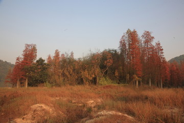 中山市五桂山大寮