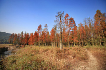 中山市五桂山大寮