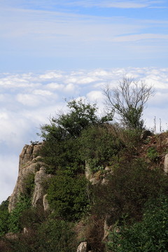 泰山云海