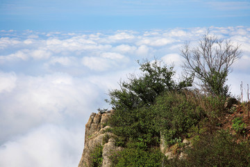 泰山云海