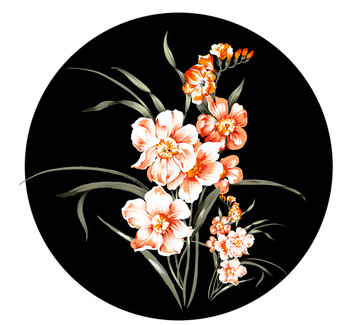 蘭花花卉