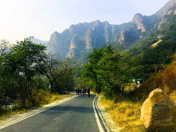 梨木台风景