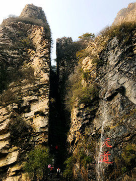 梨木台风景