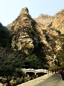 梨木台风景