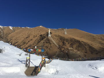 鹧鸪山