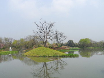 杭州西溪湿地