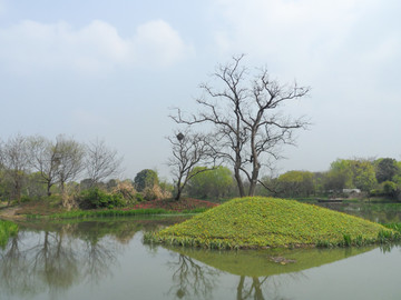 杭州西溪湿地