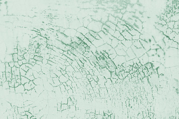 磨砂白墙绿色裂纹水泥墙面