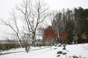 雪景