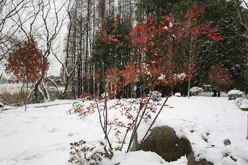 雪景