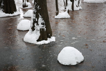 雪景