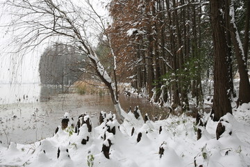 雪景