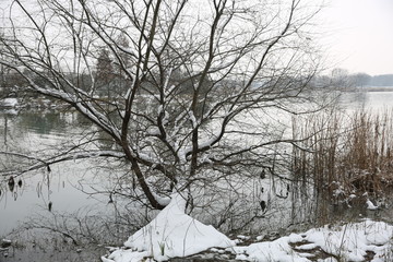 雪景