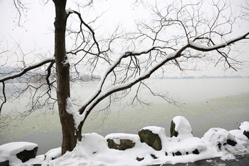 雪景