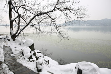 雪景