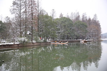 雪景