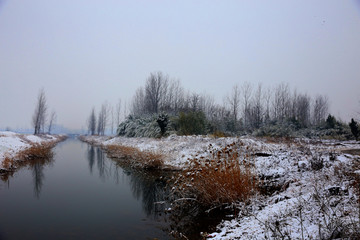 雪中河流