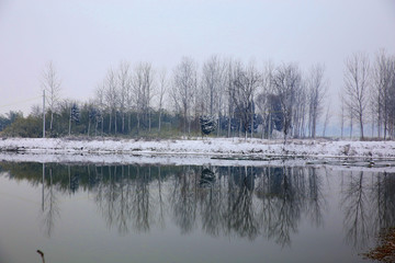 雪中河边树木