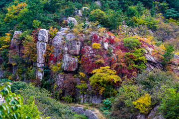 崂山秋色