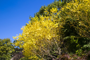 青岛崂山风景区