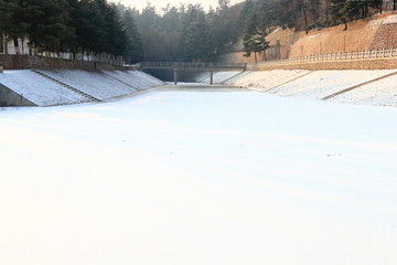 雪景