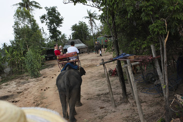 在泰国骑大象