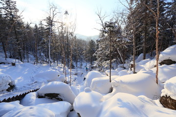 雪乡