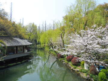 杭州西湖春景