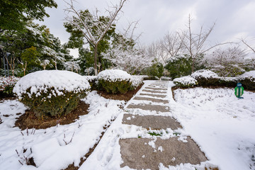 公园雪景