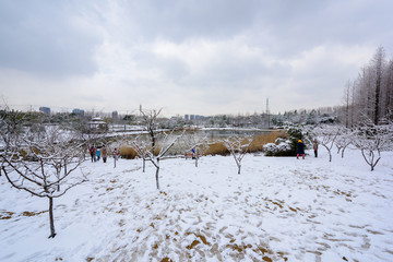 公园雪景