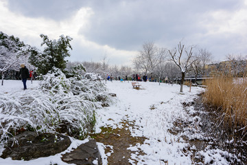 冬季公园