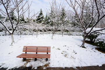 公园雪景