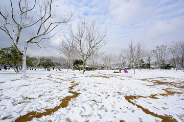 公园雪景